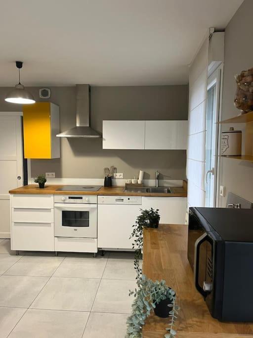 La Maison Du Bonheur 70 M² Saint-Amand-les-Eaux Dış mekan fotoğraf